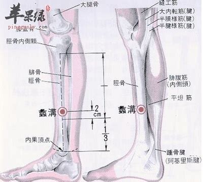 離溝穴|蠡溝穴